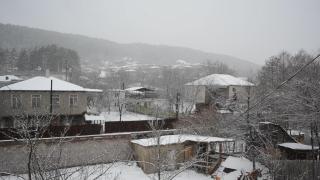 Surami Comfort House - 9