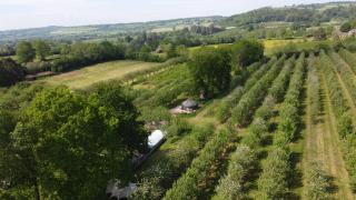 Dragon Orchard Retreat - Ledbury - 4