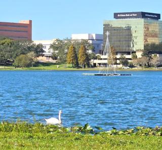 Charming Historic Studio Cottage - 4