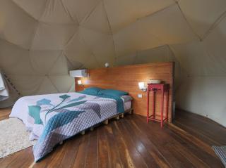Moonlight glamping - 3