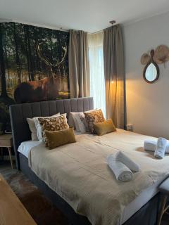 Luxury Studio in Hotel Friends SPA - Bansko - 5