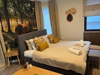 Luxury Studio in Hotel Friends SPA - Bansko - 1