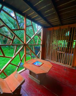 Hostal Búho Amazonas tours - Leticia - 4