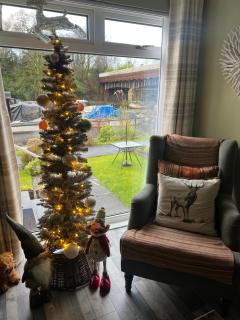 Loch Lomond Riverside Apartments B - Balloch - 9