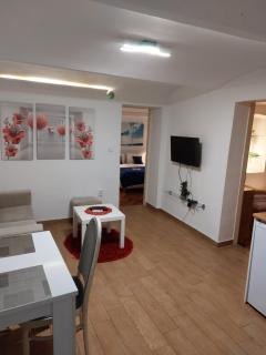 Inter Apartment Belgrade with free Parking - Belgrado - 3