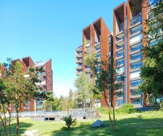 Departamento Puntilla Villarrica acceso al lago full equipado - 9