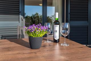 Apartment ILUX-1 - Novigrad Dalmatia - 3
