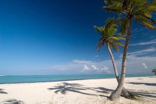 50 Steps to Private Beach Poolside Rooftop Terrace - Punta Cana - 5