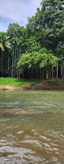 RiverMist Resort - Nilambūr - 5