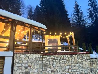 Cabana Rose House - Borşa - 9
