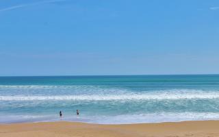 Sea Coast Gardens III 215 - New Smyrna Beach - 7