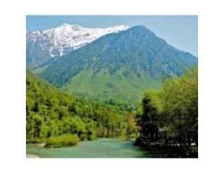 Amarnath Palace, ,Near Laripora,Pahalgam - Pahalgām - 1