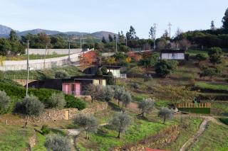 Ecofurtado - Furtado - 0