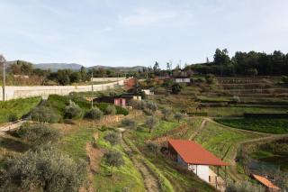 Ecofurtado - Furtado - 6
