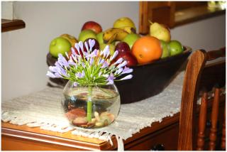 Rawsonville House - 1