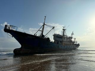 The Golden Orb Malindi - 1