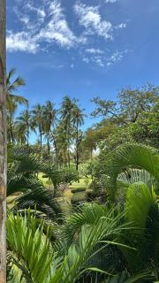 The Golden Orb Malindi - 2