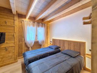 Chalet luxueux 12 pers, près des pistes, TV dans chambres, parking privé - FR-1-416-224 - La Toussuire - 1