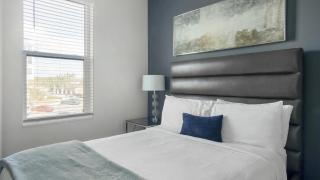 Landing at The Pointe on Westshore - 2 Bedrooms in Port Tampa City - Tampa - 7