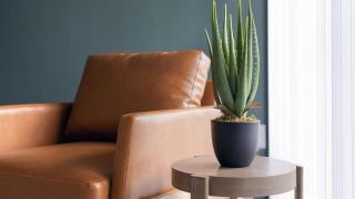 Landing at Birdie on Woodland Greens - 1 Bedroom in Plaza Volente - Austin - 4