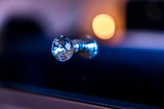 Swiss Flat Rental - 2