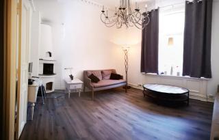Spacious central Oslo studio - Oslo - 7