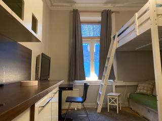 Spacious central Oslo studio - Oslo - 3