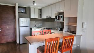 Oceana Suites Costa Pucón - Pucón - 1