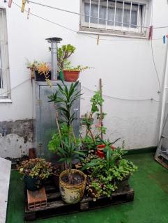 Departamento pablo - 9