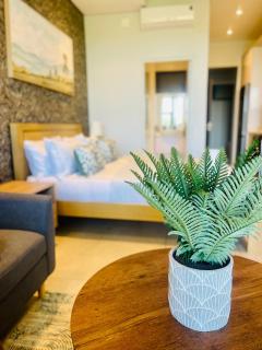 Boulevard suite 242 - Ballito - 5