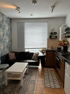 1 bed cozy apartment central London - Londra - 7