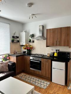 1 bed cozy apartment central London - Londra - 6