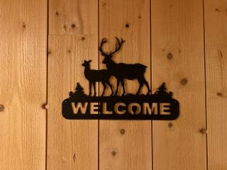 Gîte 2 à 8 personnes style chalet avec garage privé et jardin - 5