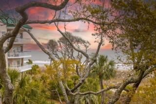 Oceanfront, Bikes, Beach Getaway, WP2415 - Hilton Head Island - 4