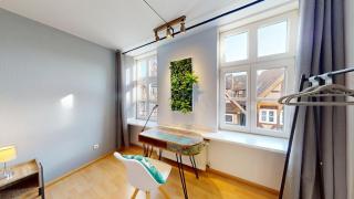2 Zimmer, Beamer, Disneyplus mitten in der Altstadt - Celle - 2