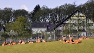 Belvilla Heiderhof in Rheinischen Westerwald - 2