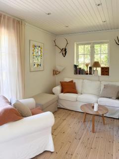 Wood Home With Fireplace And Nordic Design - Vejby - 3