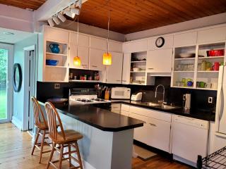Walking Distance to downtown Grand Haven - Grand Haven - 7