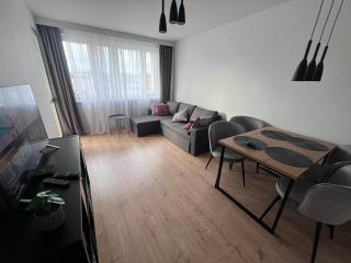 Apartament Al Jana Pawła Częstochowa - 7