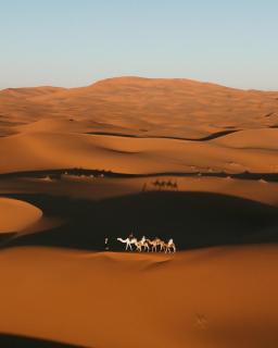 Sahara pearl Hotel - Merzouga - 1