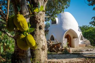 Dome @Jackfruit Jungle Paradise - Chiquila - 5