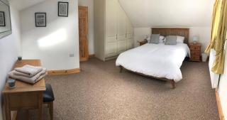 3 bedroom cottage near Kilrush & Doonbeg - Kilrush - 2