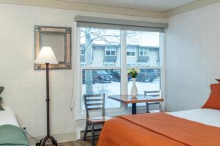 Mountainside Inn 302 by Alpine Lodging Telluride - 9