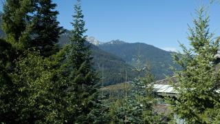 Taluswood 41 | Spacious Cabin-Style Home w/ Ski Access, Private Hot Tub & Media Den - Whistler - 5