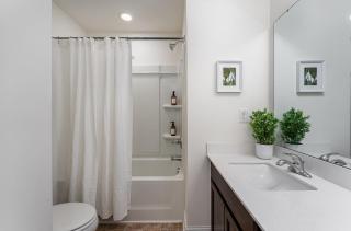 Stylish Getaway near City Center and Amphitheater - Raleigh - 8