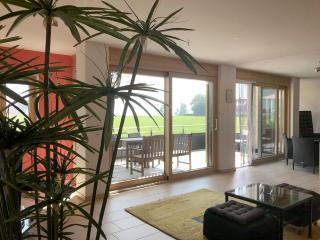 Ferienwohnung Seetraum - Hoch über dem See, großzügig mit großem Balkon - Kressbronn am Bodensee - 9