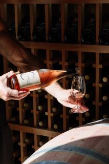 Barrique Studio with Sauna at Barrelled Wines Raglan - Raglan - 6