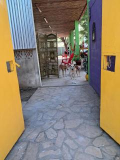 Casa Esmeralda - Las Peñitas - 0