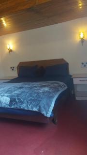Shami's Woodside Villa - Ooty - 7