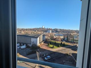 Appartement confortable à Épinal, 2 chambres, wifi, parking, petit chien accepté - FR-1-589-766 - Épinal - 7